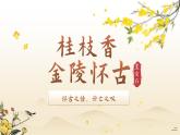 中职语文 职业模块古诗词诵读《桂枝香·金陵怀古》ppt课件