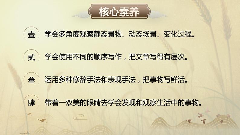 部编高教版2023中职语文职业模块 6.1《描述事物》课件03