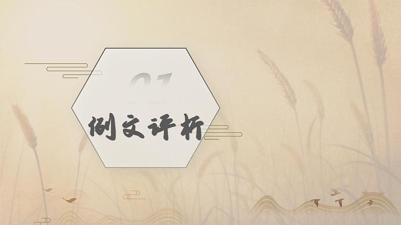 部编高教版2023中职语文职业模块 6.1《描述事物》课件04