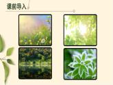 部编高教版2023中职语文职业模块 7.1《唐宋大诗人中的物候》课件