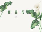 高教版中职语文基础模块下册20百合花-课件+教学设计+第五单元检测