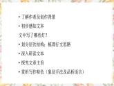 部编版（2023）中职语文基础模块上册2.2.2《灯》课件