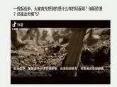 部编高教版2023 中职语文基础模块上册《荷花淀》-课件+教学设计