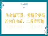 部编高教版2023中职语文基础模块上册  诗二首《我愿意是急流》-课件+教学设计