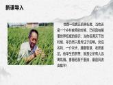 部编高教版中职语文职业模块5-2《喜看稻菽千重浪》 课件