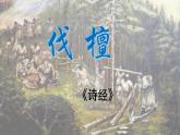 部编高教版（2023）中职语文职业模块上册第三单元第1.1课 《伐檀》课件+学案+知识梳理