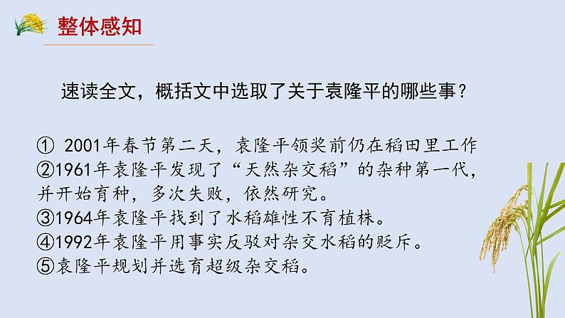 部编高教版（2023）中职语文职业模块上册《喜看稻菽千重浪》课件+学案+知识梳理06