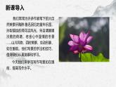 部编高教版中职语文基础模块上册2-5《写作写景如在眼前》 课件