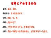 《荷塘月色》（课件+教案）-【中职专用】高一语文同步课件+教案（高教版2023·基础上册）