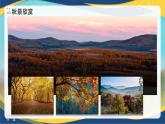 4.1《故都的秋》（精品課件）-2024-2025學(xué)年高二語文教與學(xué)同步精品講堂（高教版2024·拓展模塊上冊）
