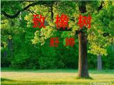 【中职专用】高中语文  高教版  基础模块上册 二爱情诗二首《致橡树》PPT课件