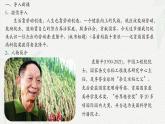 《喜看稻菽千重浪》-2024-2025学年高一基础模块上册同步备课教学课件（高教版2023）
