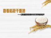 部编高教版2023 中职语文基础模块上册  《喜看稻菽千重浪》-课件+教学设计