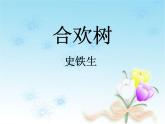 高教版语文 基础模块下册《合欢树》课件