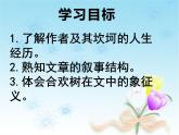 高教版语文 基础模块下册《合欢树》课件
