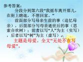 高教版语文 基础模块下册《合欢树》课件