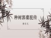 【中职专用】高一语文同步（高教版2023基础模块上册）第3.2课《种树郭橐驼传》课件+教案+导学案+同步作业含解析版