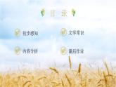 【中职专用】高一语文同步（高教版2023基础模块上册）5.2《喜看稻菽千重浪》课件+教案+导学案+同步作业含解析版