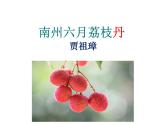 高教版語文 基礎(chǔ)模塊下冊(cè)《南州六月荔枝丹》課件