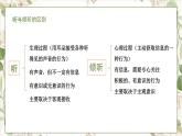 部编高教版2023 中职语文基础模块上册  口语交际：倾听-课件+教学设计