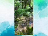 部編高教版2023中職語(yǔ)文基礎(chǔ)模塊上冊(cè)  《寫(xiě)景如在眼前》-課件+教學(xué)設(shè)計(jì)