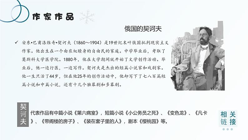 【中职语文专用】(高教版2023基础模块下册)《套中人》契诃夫 课件第5页