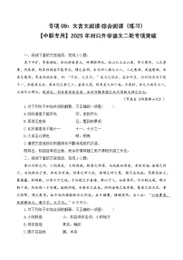 专项09：文言文阅读  综合阅读（练习）-【中职专用】2025年对口升学语文二轮专项突破