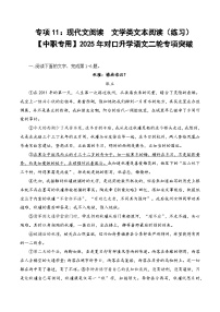 专项11：现代文阅读  文学类文本阅读（练习）-【中职专用】2025年对口升学语文二轮专项突破