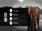 中職高教版(2023)語文職業(yè)模塊-第七單元7.1動物游戲之謎【課件】