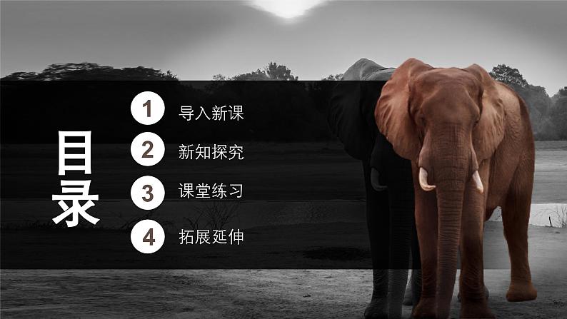 中职高教版(2023)语文职业模块-第七单元7.1动物游戏之谜【课件】第2页