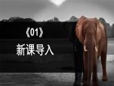 中職高教版(2023)語文職業(yè)模塊-第七單元7.1動物游戲之謎【課件】