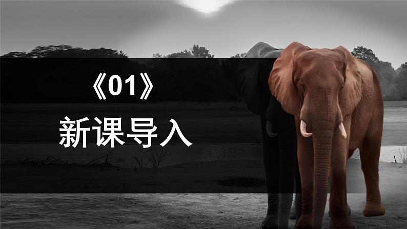 中职高教版(2023)语文职业模块-第七单元7.1动物游戏之谜【课件】第3页