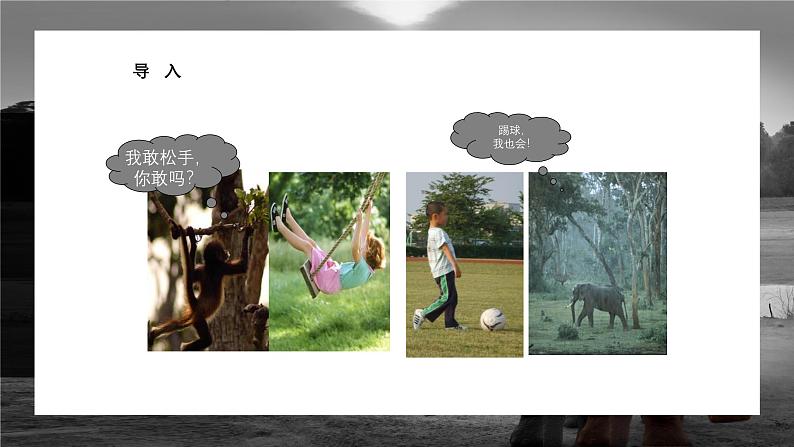 中职高教版(2023)语文职业模块-第七单元7.1动物游戏之谜【课件】第4页