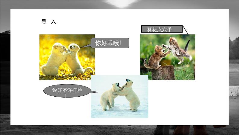 中职高教版(2023)语文职业模块-第七单元7.1动物游戏之谜【课件】第5页