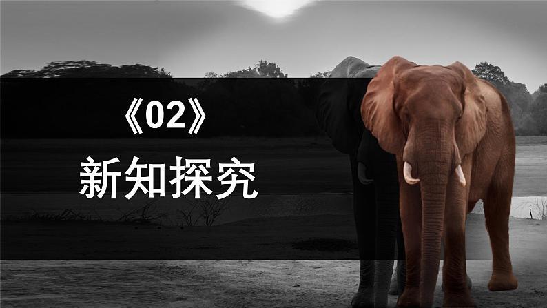 中职高教版(2023)语文职业模块-第七单元7.1动物游戏之谜【课件】第6页