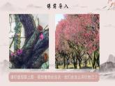 部编高教版（2024）中职语文拓展模块上册2.4《病梅馆记》课件