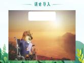 部編高教版（2024）中職語文拓展模塊上冊(cè)4.3《合歡樹》課件