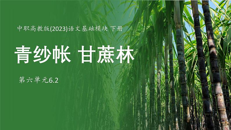 中职高教版(2023)语文基础模块下册-第六单元6.2青纱帐 甘蔗林【课件】第1页