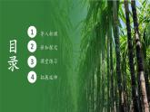 中職高教版(2023)語文基礎(chǔ)模塊下冊-第六單元6.2青紗帳 甘蔗林【課件】