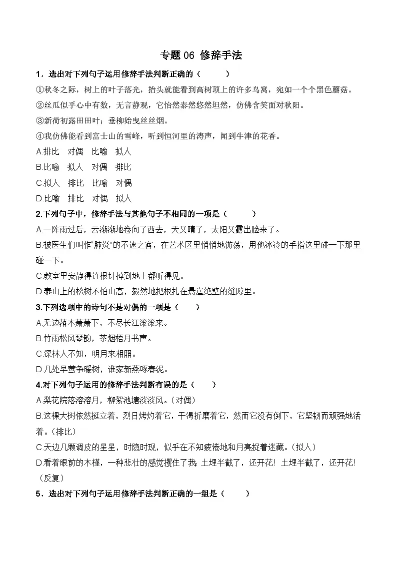 专题06 修辞手法（考题猜想）（原卷版）第1页