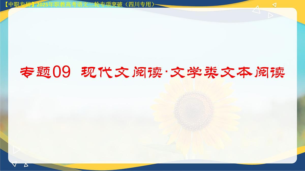 专项11：现代文阅读·文学类文本阅读（课件）-【中职专用】2025年对口升学语文二轮专项突破(四川专用)第4页