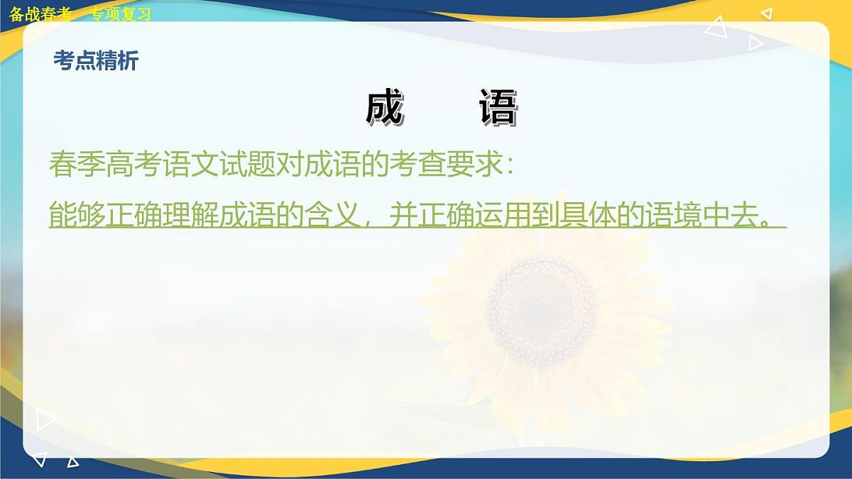 成语专项练习-【中职专用】2025年春季高考语文备考课堂（山东专用）课件PPT第2页