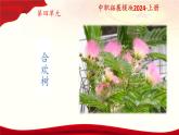 4.2《合歡樹》課件-【中職專用】高二語文同步講堂（高教版2024拓展模塊上冊）