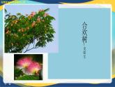 《合歡樹》（教學(xué)課件）-【中職專用】高二語文同步課堂（高教版2024拓展模塊上冊(cè)）