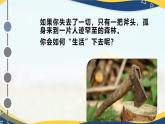 《瓦爾登湖》（教學(xué)課件）-【中職專用】高二語文同步課堂（高教版2024拓展模塊上冊(cè)）