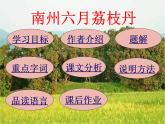 【中職專用】高中語文  高教版  職業(yè)模塊 《南州六月荔枝丹》教學課件