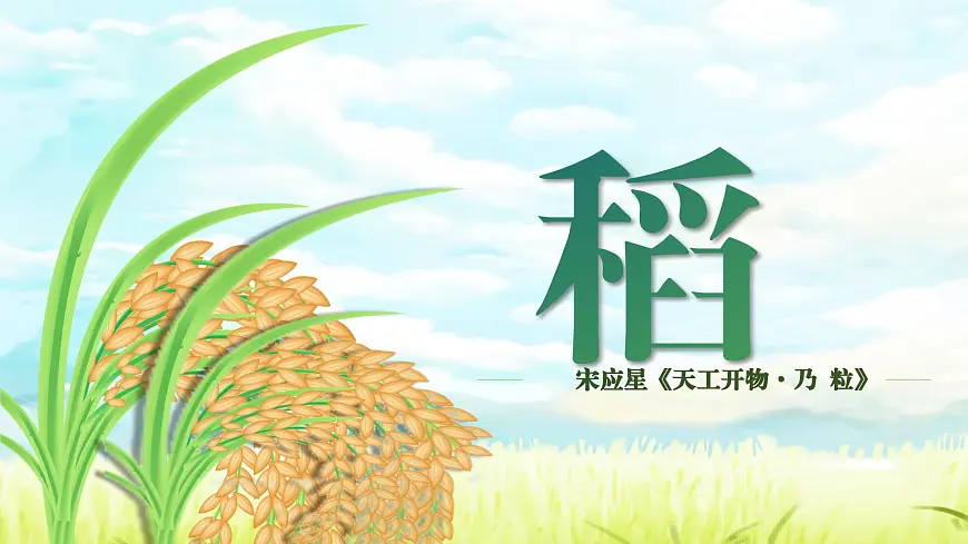 部编高教版（2024）拓展模块下册5.2《稻》课件第1页