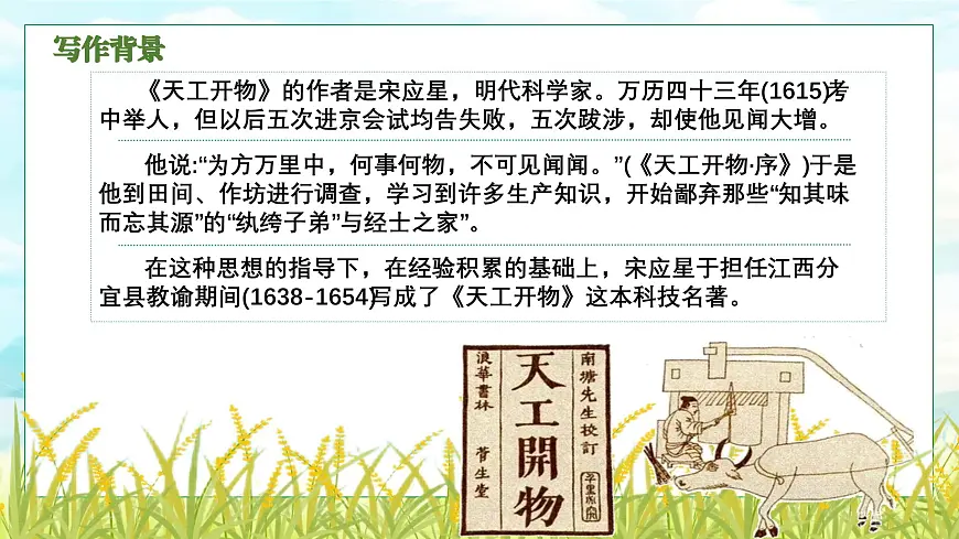 部编高教版（2024）拓展模块下册5.2《稻》课件第6页