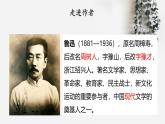 部編高教版2023 中職語文 基礎(chǔ)模塊下冊 第三單元第一課 祝福-課件