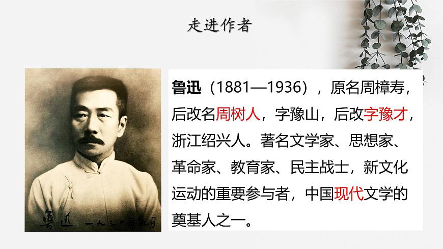 部编高教版2023 中职语文 基础模块下册 第三单元第一课 祝福-课件第4页